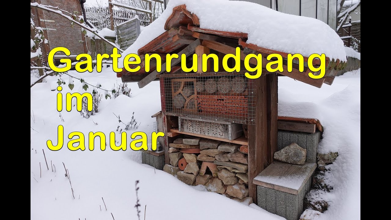 Schnee verzaubert meine Gärten, Momentaufnahmen im Garten am Haus und im Hortus Andersgarten