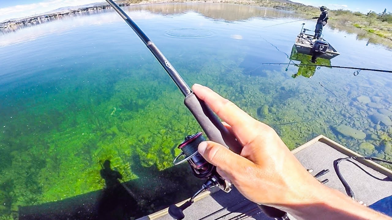 Jon Boat Fishing Tournament Vs Local || 50 State Fishing Tour (Lake Pleasant AZ)