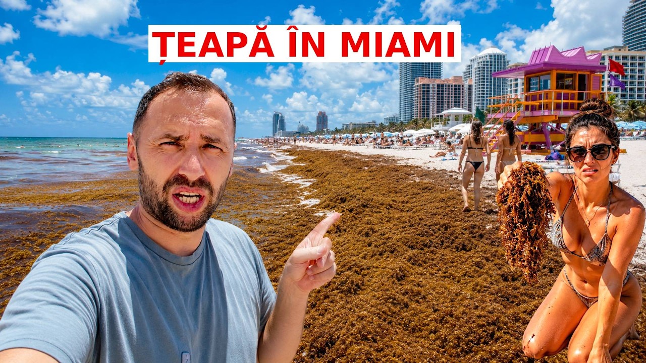 ȘOCUL din MIAMI: Plaja de VIS este o MIZERIE | Agențiile de turism ASCUND asta