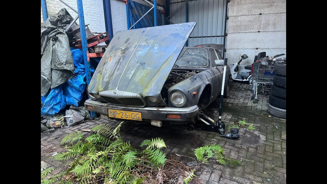 🌤️ NA 30 JAAR EINDELIJK WEER DAGLICHT — JAGUAR V12🔥 WORDT WAKKER UIT ZIJN SLAAP?! 😱