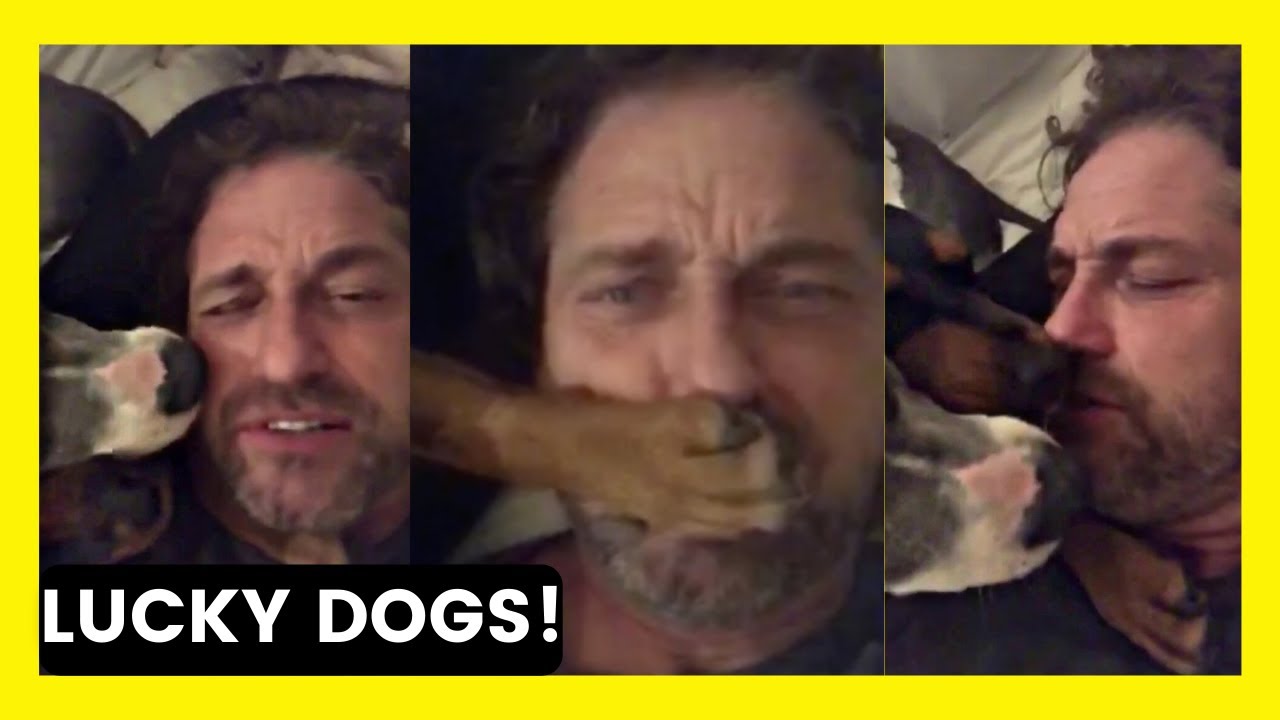 Gerard Butler | LUCKY DOGS get Gerry's UNDIVIDED ATTENTION-Super funny moments!