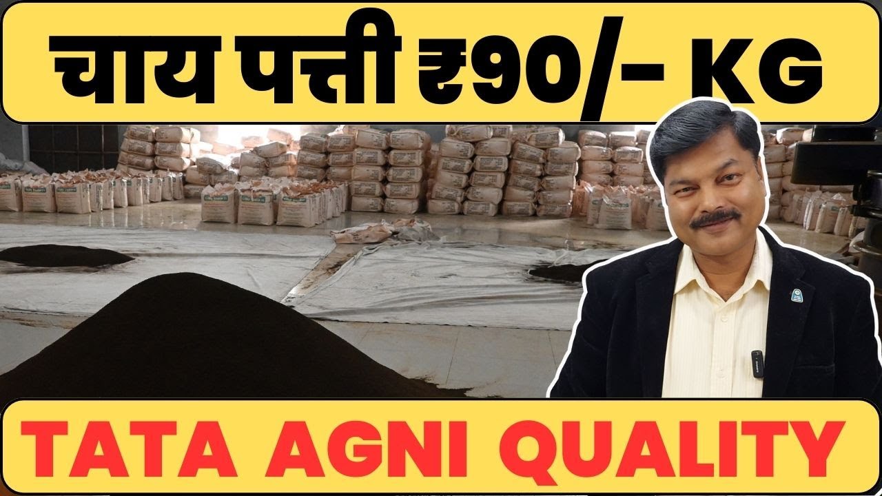 Low Rate Chai Patti Wholesale Market Price  | चाय पत्ती सबसे सस्ती  #teabusiness #teaeducation #tea