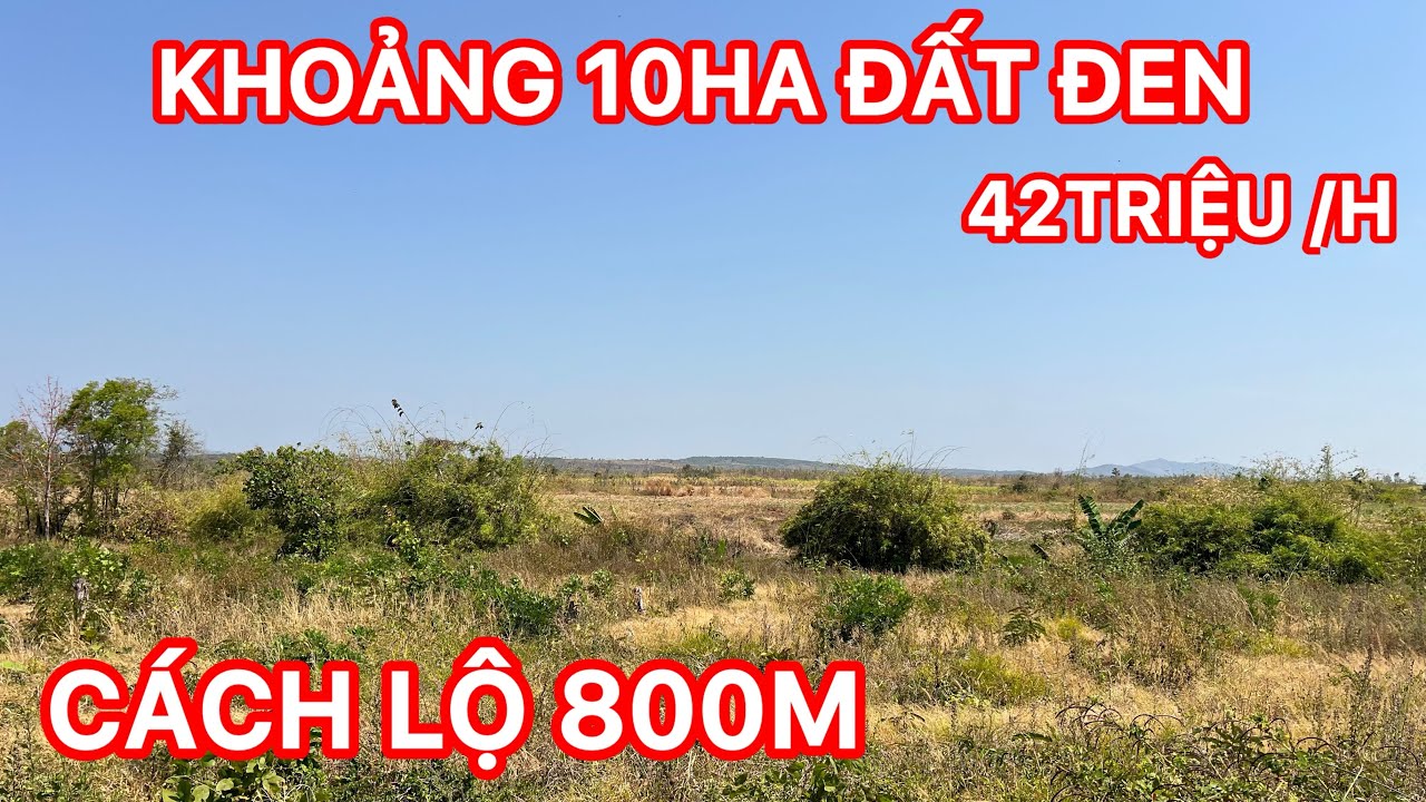 Do tuổi cao cần chuyển nhượng lô đất rành cho quý a chị nào làm trang trại trồng cây ăn trái Lh em