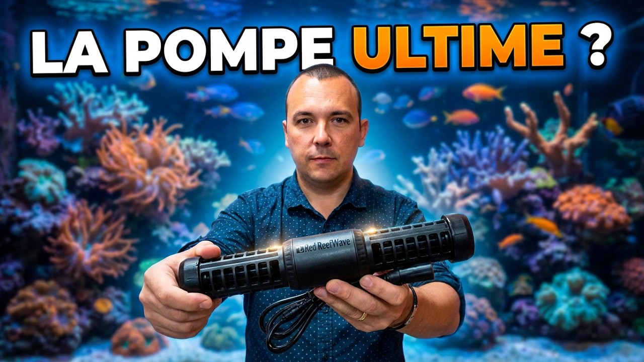 Red Sea ReefWave  - Déballage et configuration