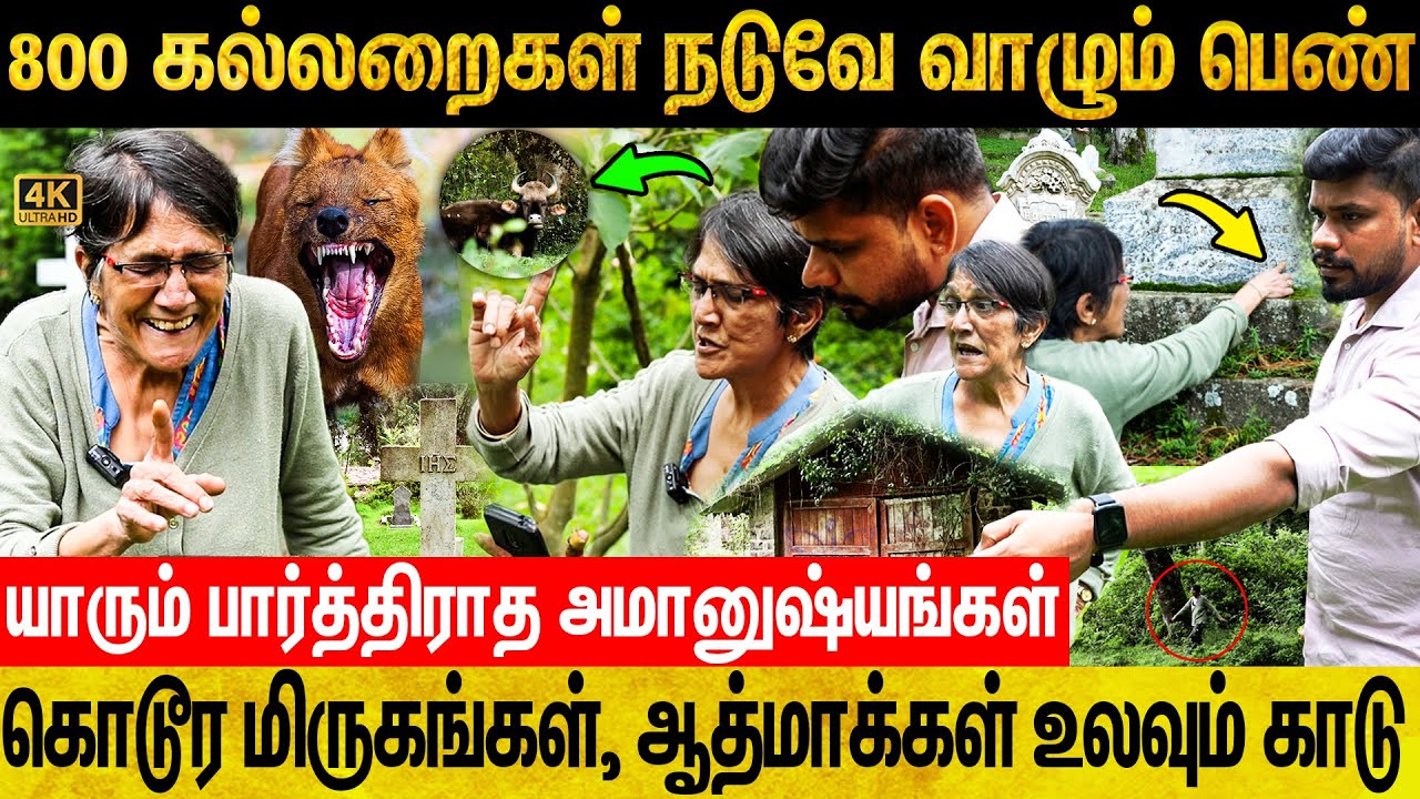 அமானுஷ்யங்கள் நிறைந்த கொடைக்கானல் பழைய கல்லறை .. திக் திக் அனுபவங்கள் |  Kodaikanal | Wild Life