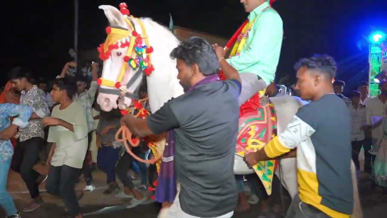 Athadungari Thi Nani Rasli  ￼