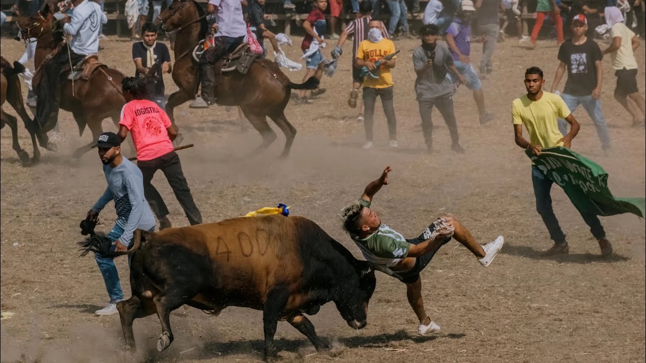 Colombia's Most Dangerous Tradition Bull Running (Gringo En La  Corraleja de Since)