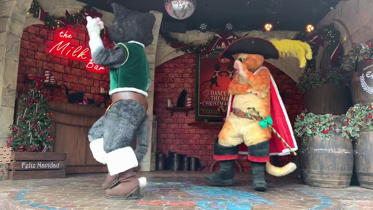 27Dec2019 15:40 The dance for christmas magic beans