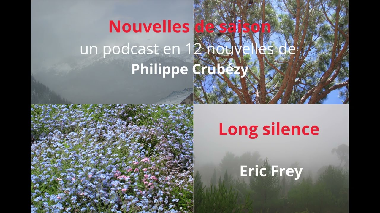 Long silence de Philippe Crubézy, lu par Eric Frey