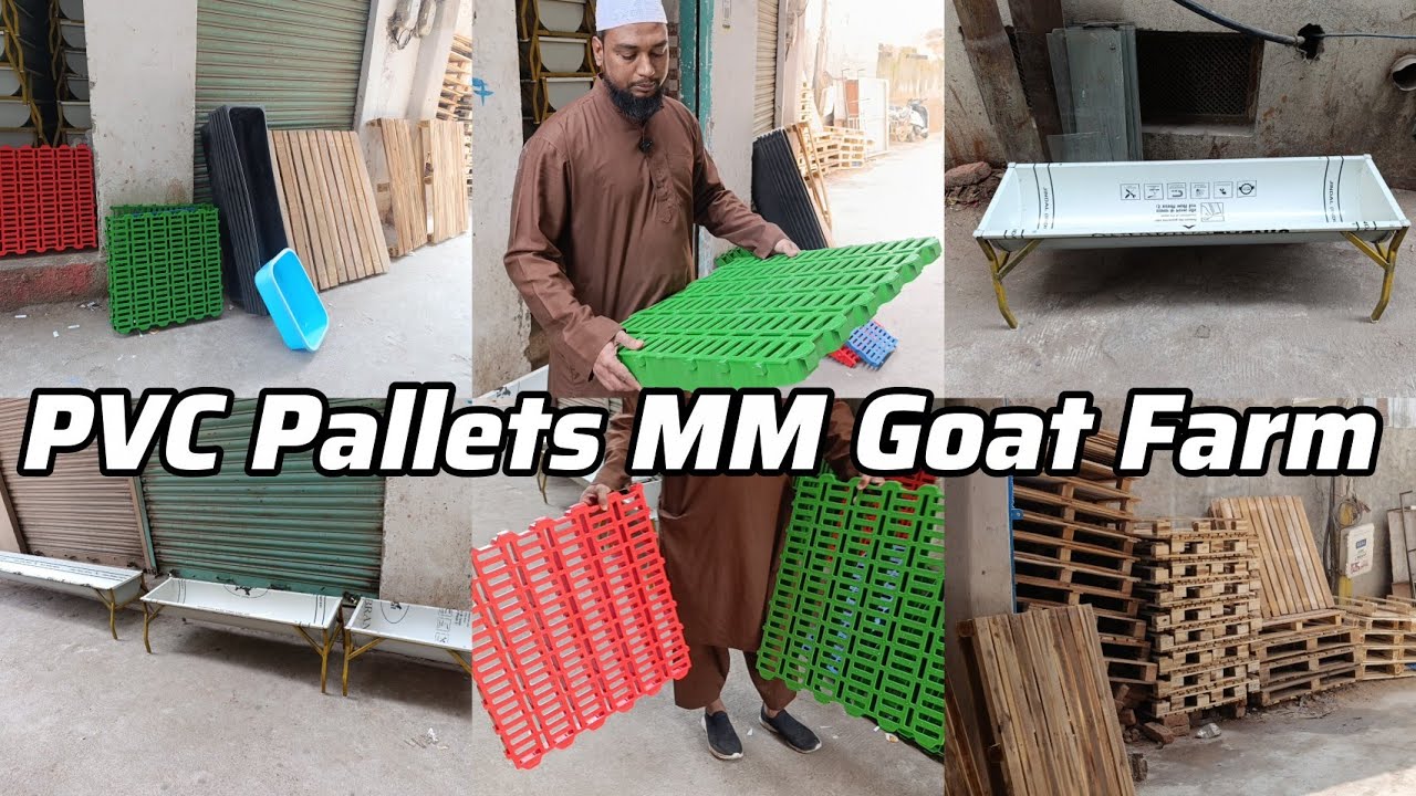 MM Goat Farm par aaye PVC Pallets ka Stock || Wooden Pallets aur Feeder in Shalibanda Hyderabad 