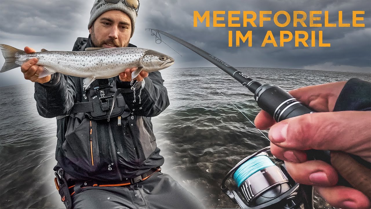 MEERFORELLEN ohne Ende! Krasser Angeltrip mit neuen Ködern! 🔥