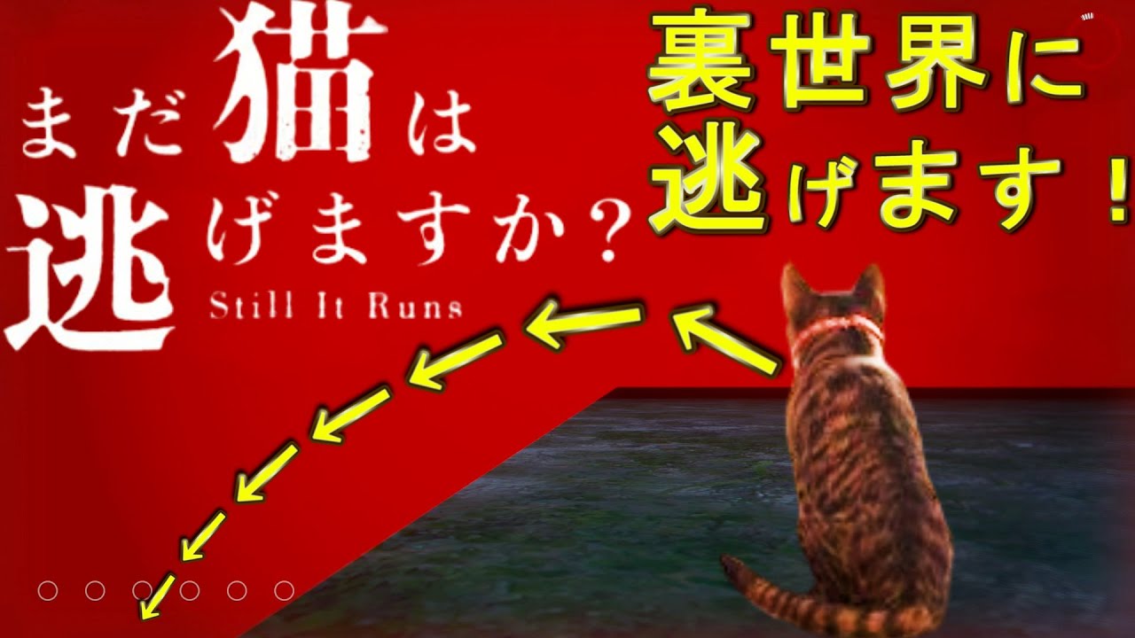 裏世界を越えた裏世界に逃げると・・【まだ猫は逃げますか？】