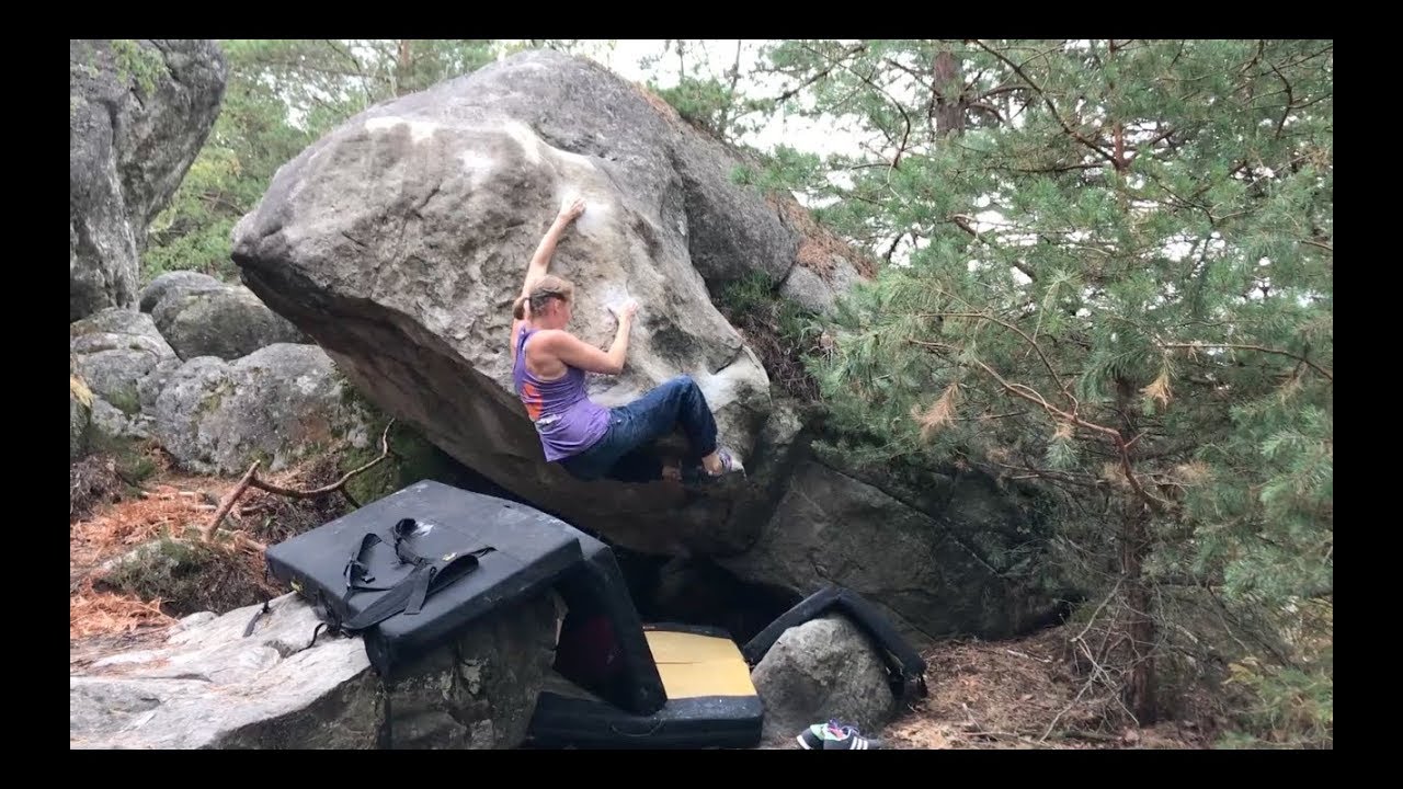 Fontainebleau Juli 2019
