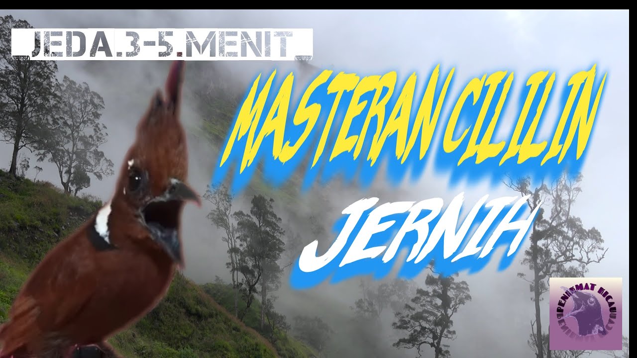 MASTERAN CILILIN JERNIH dan TAJAM, jeda 3 menit - 5 menit