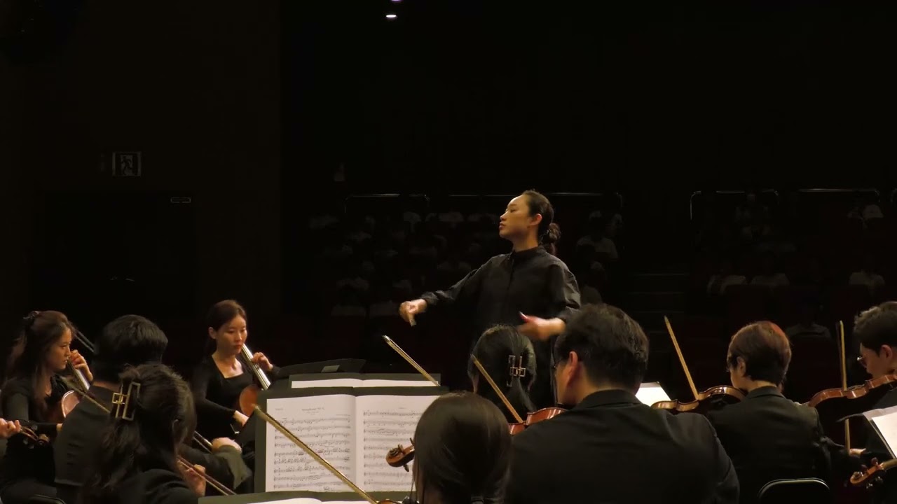 Beethoven symphony no.4 1st