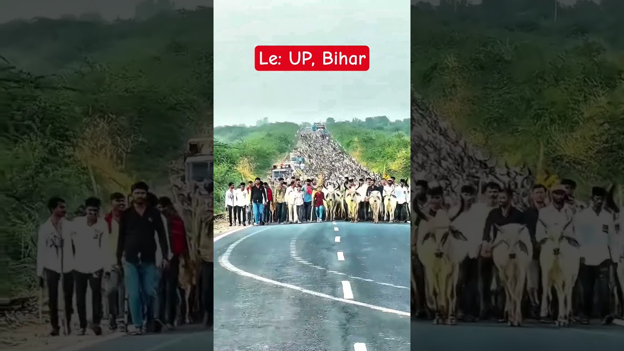 Calling out: UP, Bihar🔥 #jantarmantar #studentsprotest #20julyprotest #cjp #sonamwangchuk