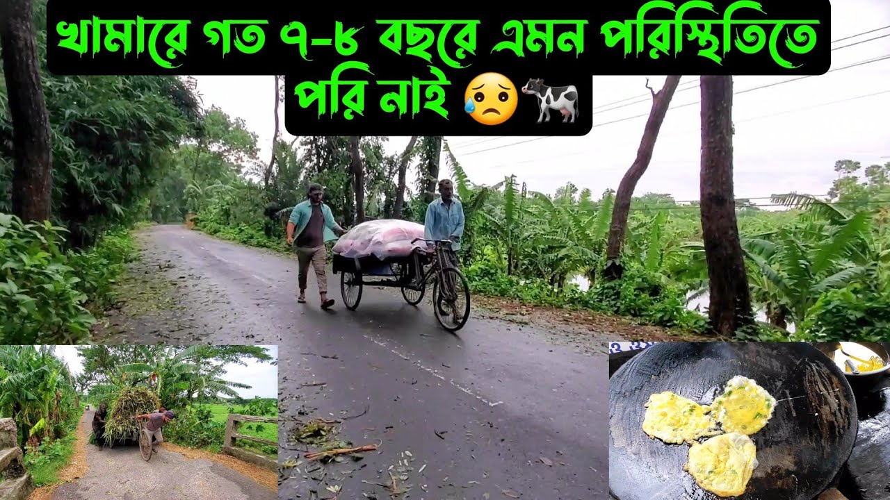 খামারে গত ৭-৮ বছরে এমন পরিস্থিতিতে পরি নাই 😥🐄