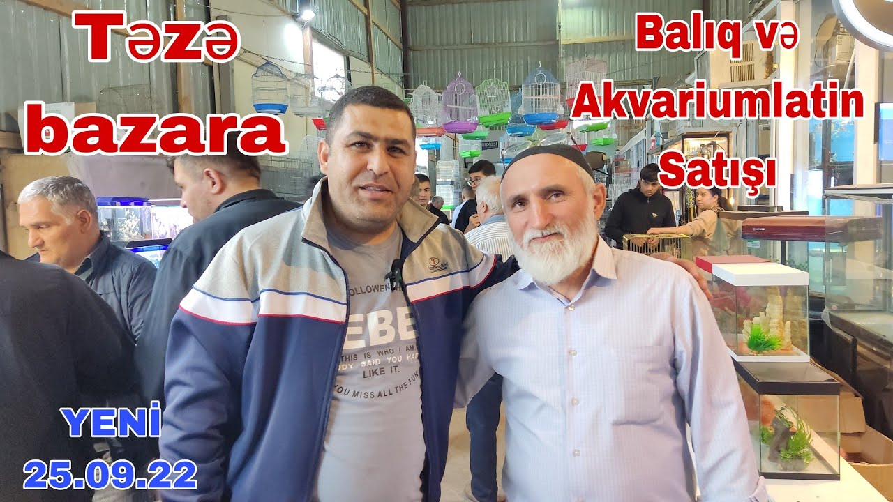Təzə bazar Balıq bazarı 25.09.22 #təzəbazar #balık #balıkavı #mubarizemintv #azerbaycan