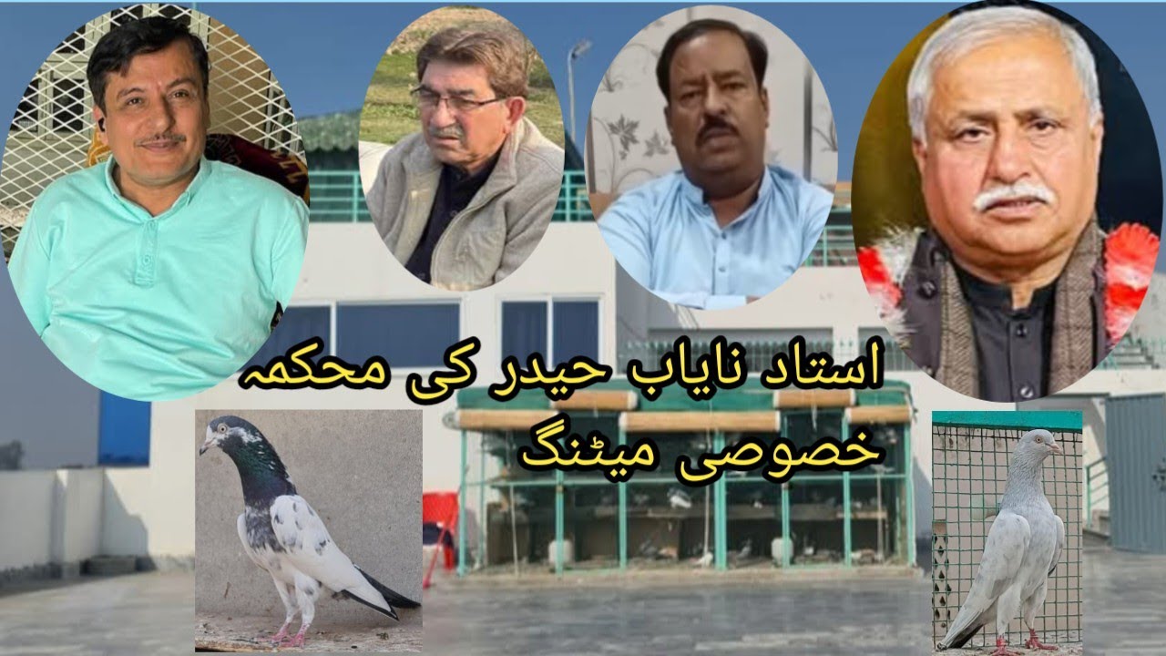 استاد نایاب حیدر کی محکمہ ماحولیات والو ای پی اے سے خصوصی میٹنگ pigeons