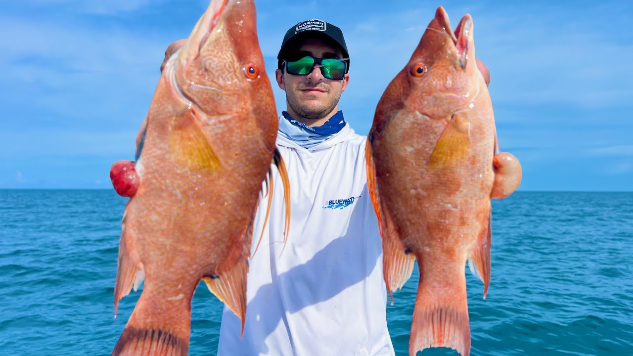 Hogfish on Hook & Line | Anclote Key Fishing 