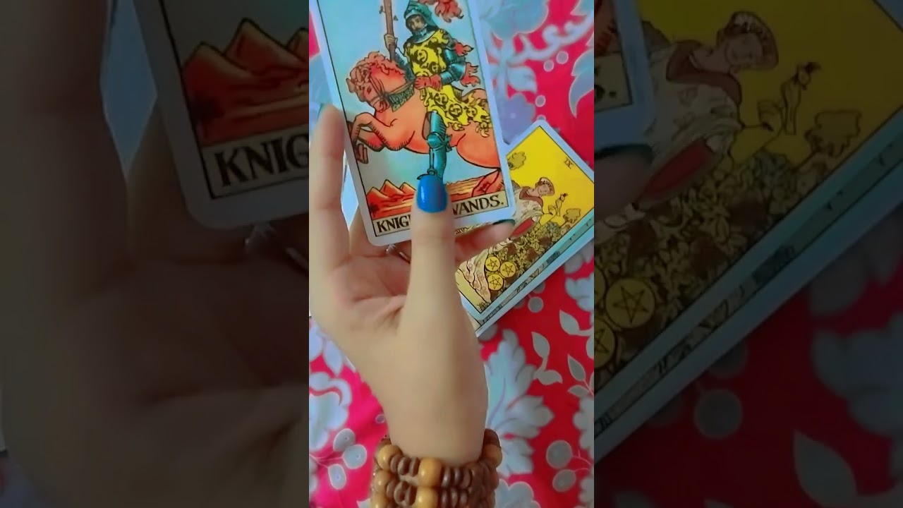 #livereadings #tarotlivestream #livetarotreadingfree #freecardreading #freetarotreading #livetarot