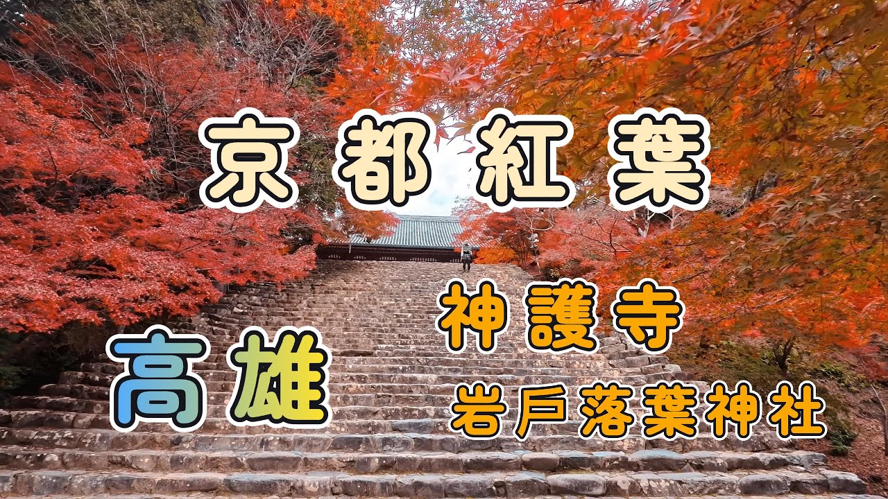【2025 日本關西紅葉之旅】遠離人潮的京都賞楓∣高雄∣神護寺∣岩戶落葉神社∣日本關西自由行10天