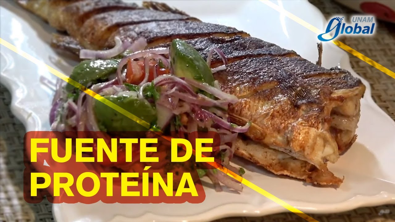 La importancia de comer carne - UNAM Global