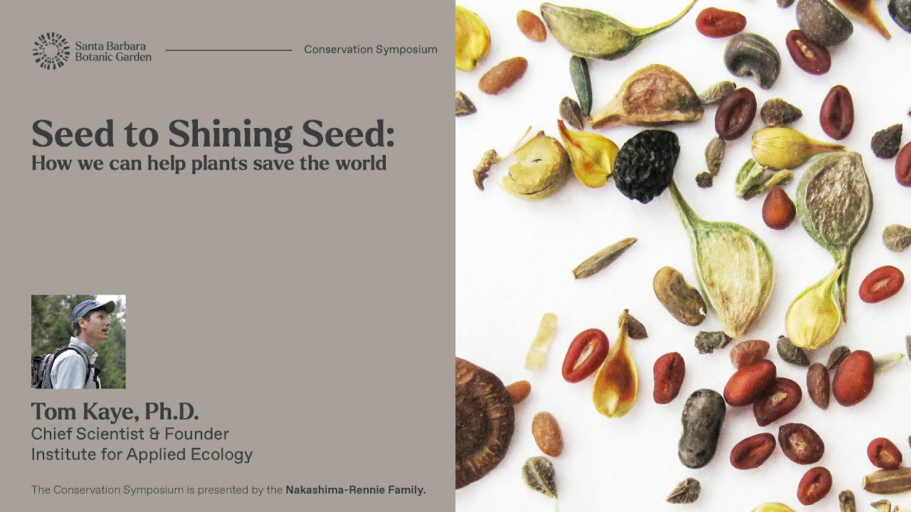 Seed to Shining Seed | How we can help plants save the world | Tom Kaye, Ph.D.
