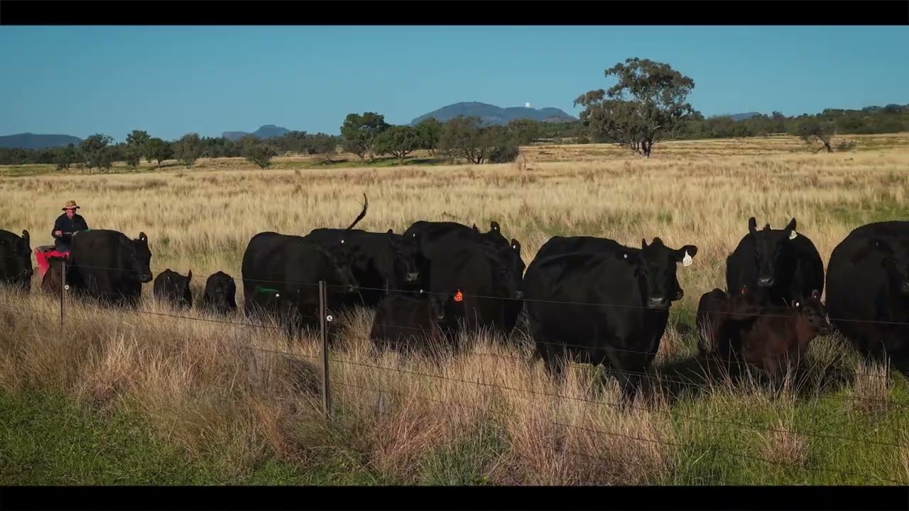'Top Walga' 281 Top Walga Road TOORAWEENAH NSW