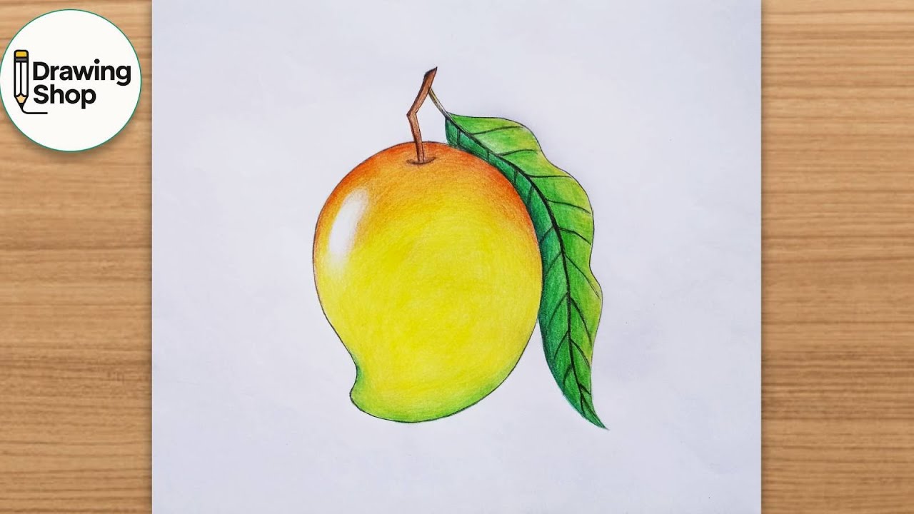 How to draw mango - step by step || (easy drawing)