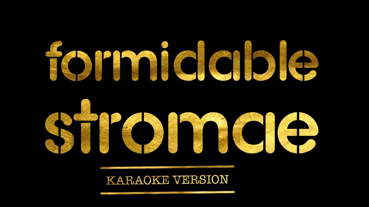 Stromae - Formidable (Karaoke Version)
