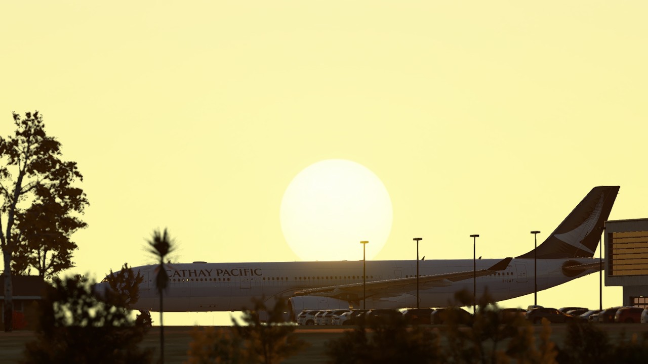 X-Plane 12 A330-300 FLAMINGO INTL-PUNTA CANA INTL TNCB-MDPC