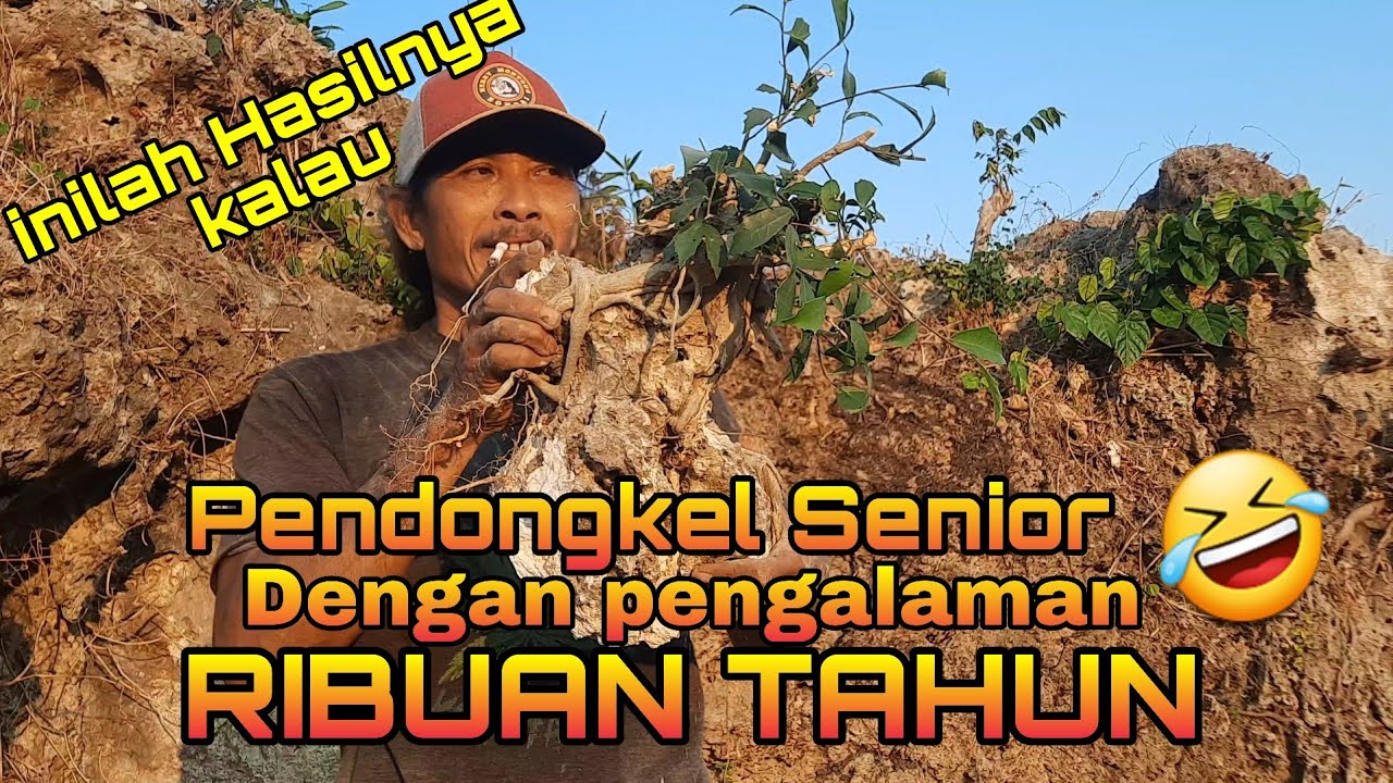 Pendongkel Senior dengan pengalaman Ribuan tahun
