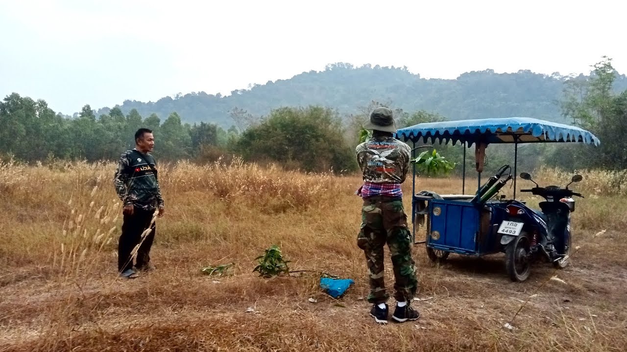 ต่อนกเขาใหญ่ หมายภูเขานครนายก #เจ้าเหลี่ยมเพชร