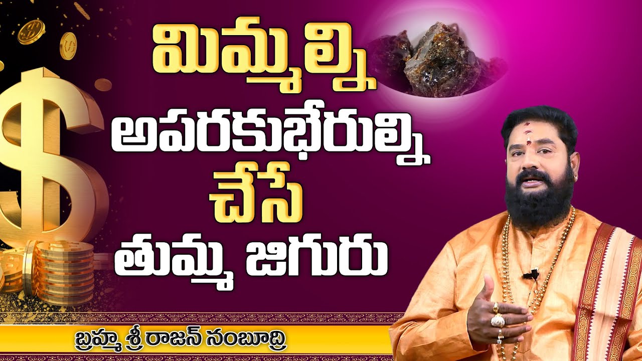 Telugu Unknown Facts About Tumma Jiguru | అపర కుబేరుల్ని చేసే తుమ్మ జిగురు | MY DESTINY