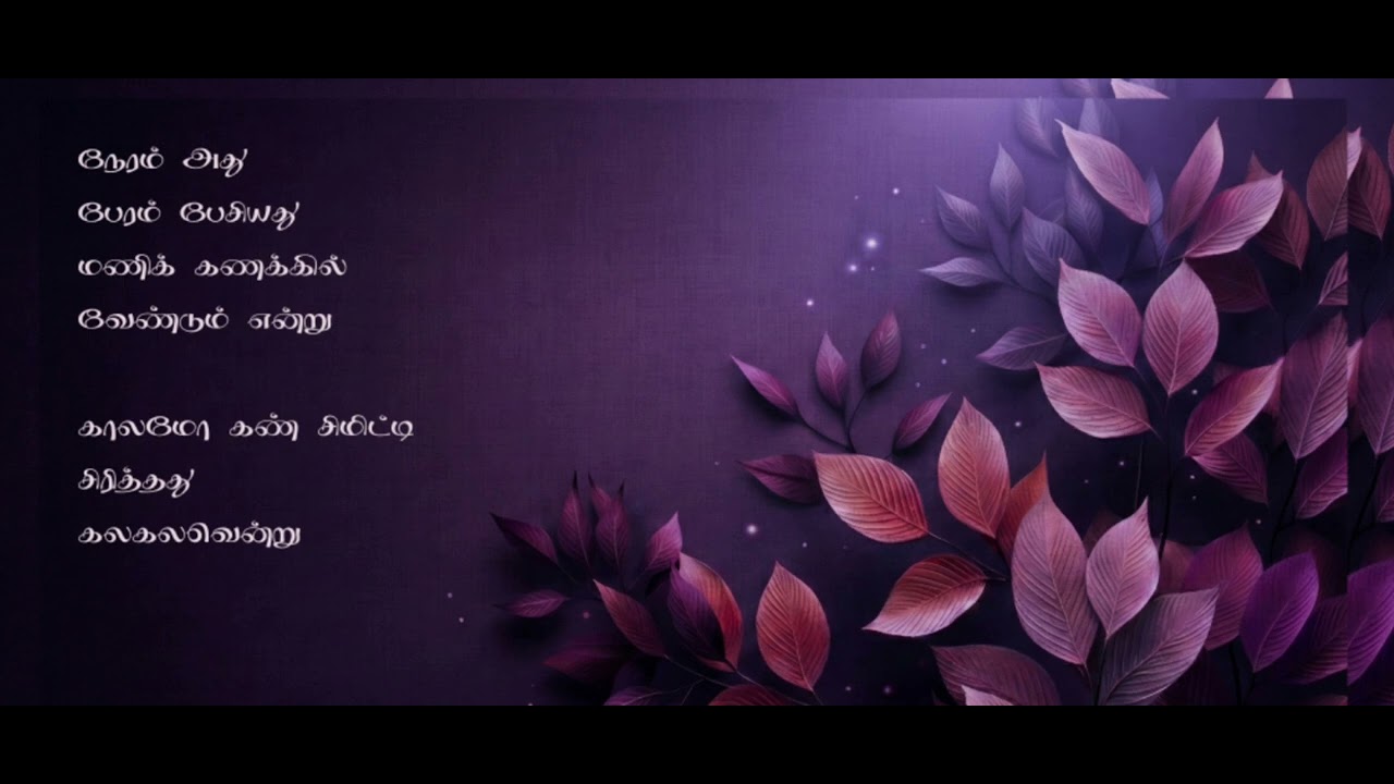 முற்று பெற்ற கோபம் || கனா கண்ணன் || Tamil Album Song || Love Song ||