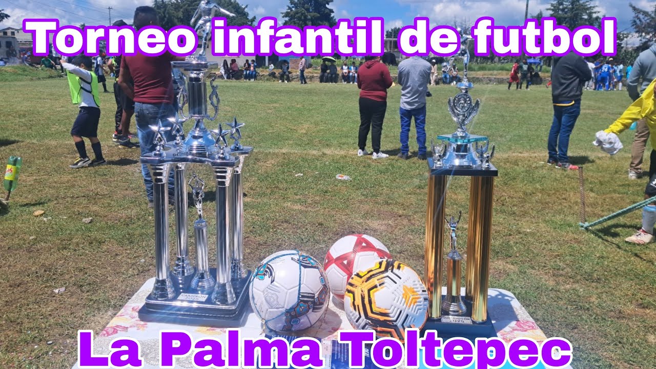 Torneo infantil de futbol, La Palma Toltepec
