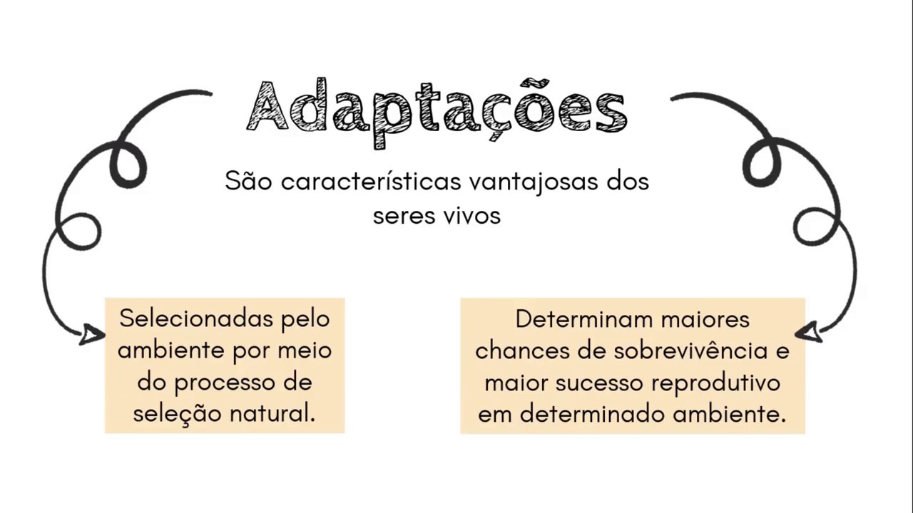 O que s&atilde;o Adapta&ccedil;&otilde;es?