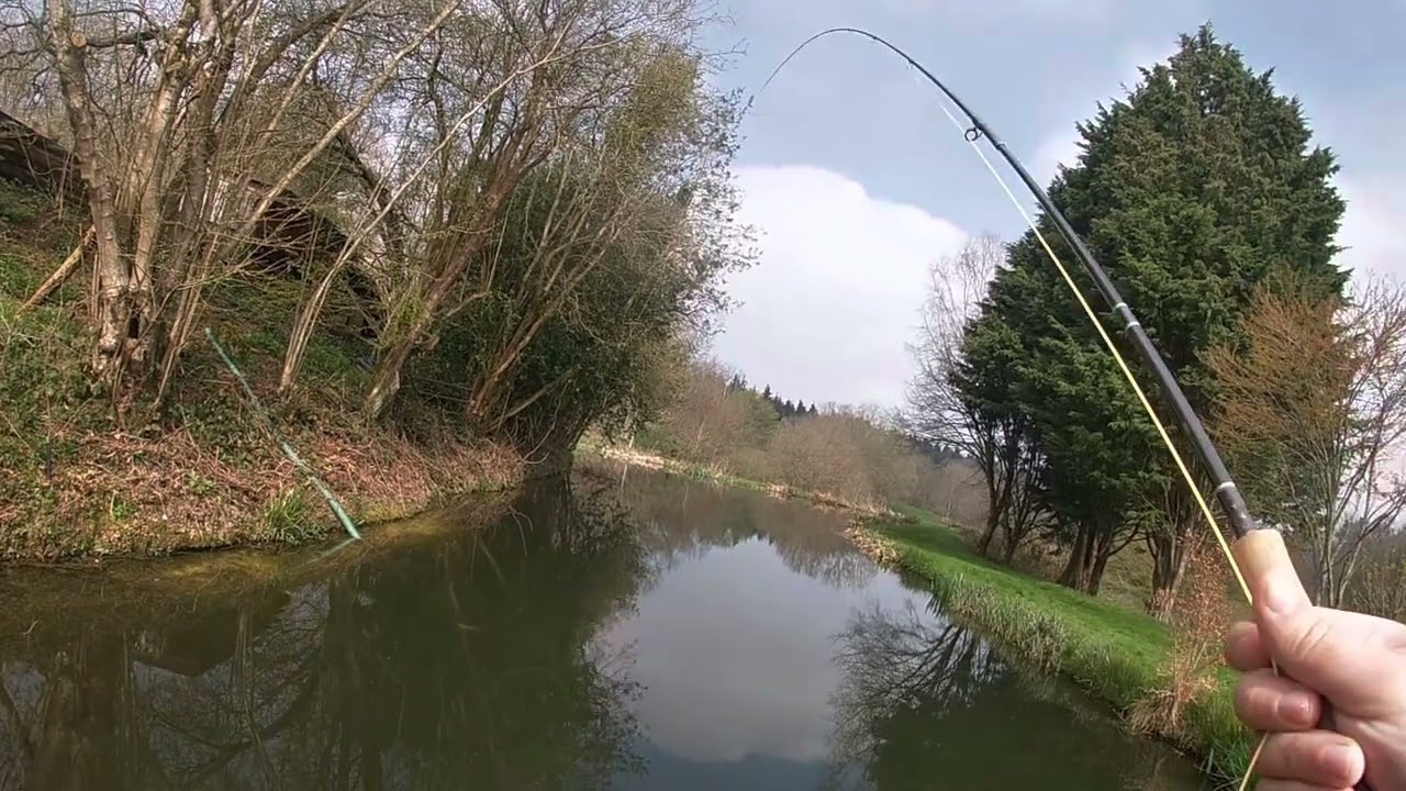 Spring Hill Trout Water - Spring 2023 Fly Fishing Fun