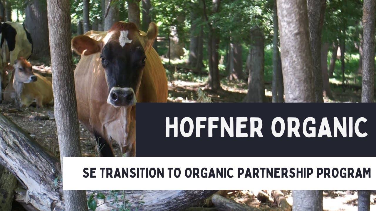 Southeast Transition to Organic Partnership Program | Hoffner Organic Dairy