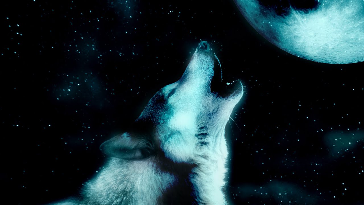 Skan x Ryo x M.I.M.E - Howling at the Moon (Lyrics)