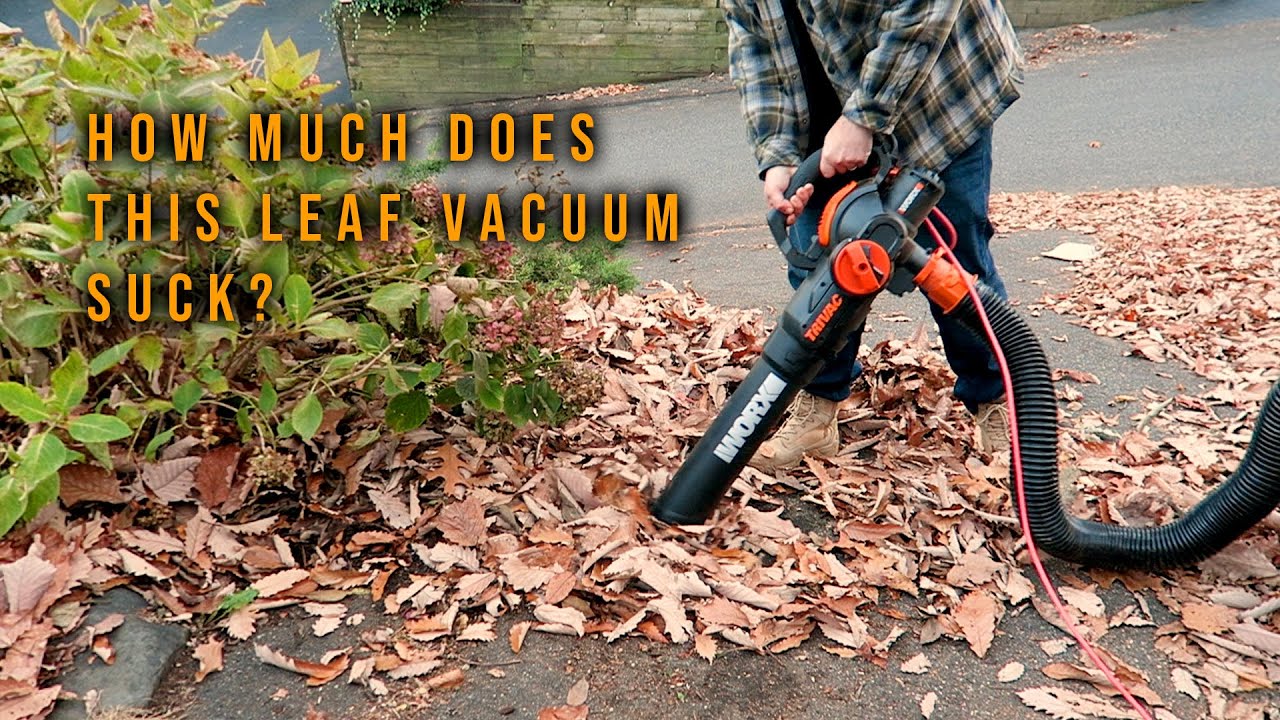 Does this Leaf Vacuum Suck?  WORX WG512/514  TRIVAC 3-in-1 Electric Leaf Blower/Mulcher/Yard Vacuum