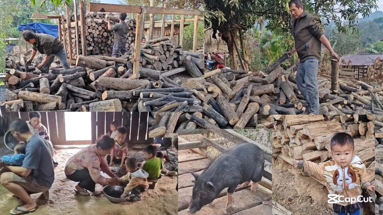 Npaj taws kom ntau thiaj tau rauv os 31 ມັງກອນ 2026