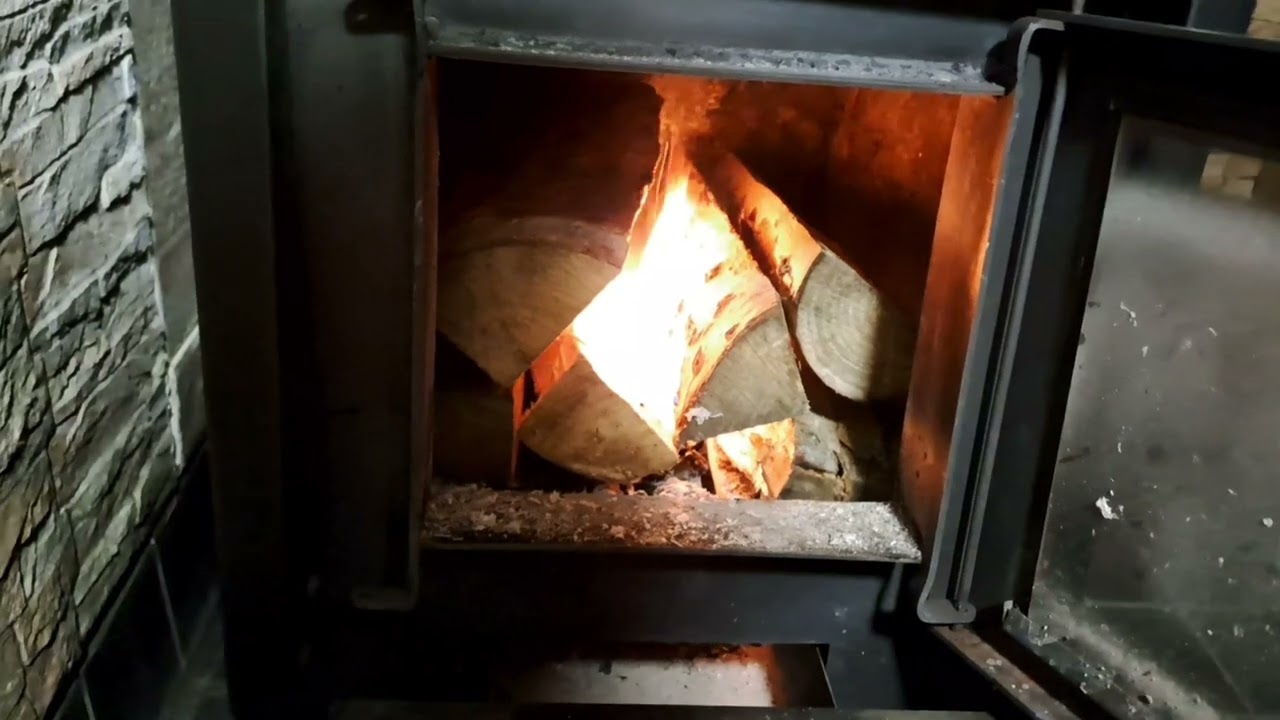 HAAPA PUU HYVÄ PUU