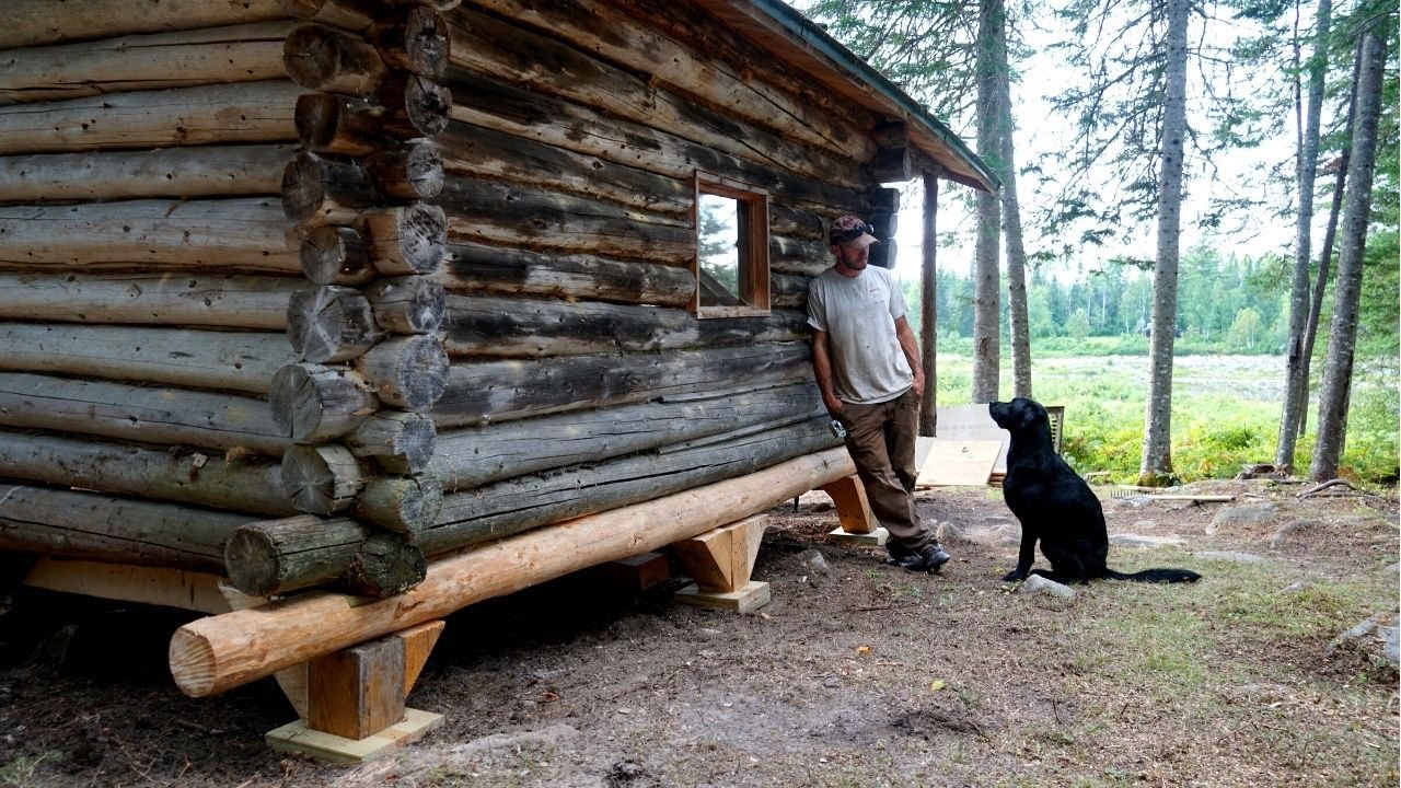 Saving an Old Log Cabin in the Woods | (WITH A DOG!!!)