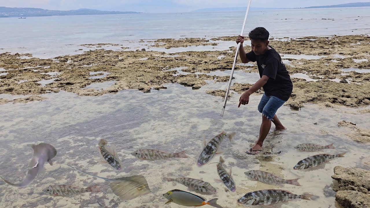 DIPULAU TERPENCIL Nombak Ikan & Cari Kerang, Makan diPantai with LLDIKTI Wil IV & Rektor Unidayan 