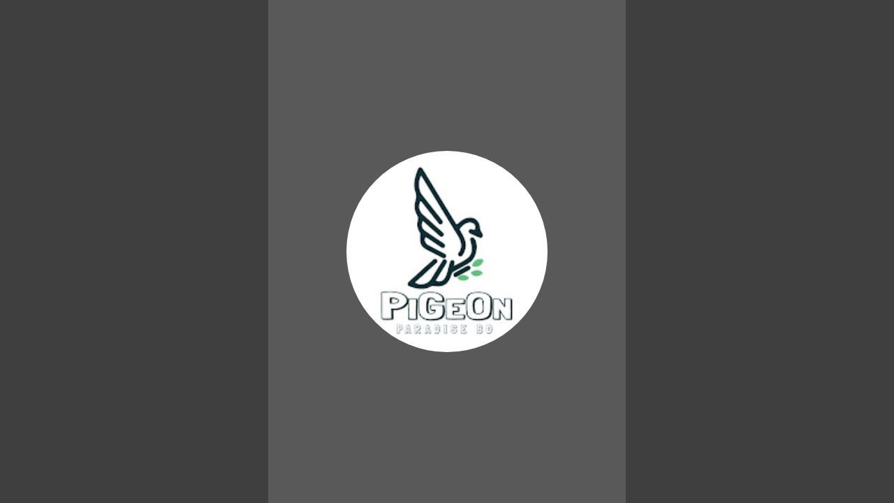 PigeonParadiseBD