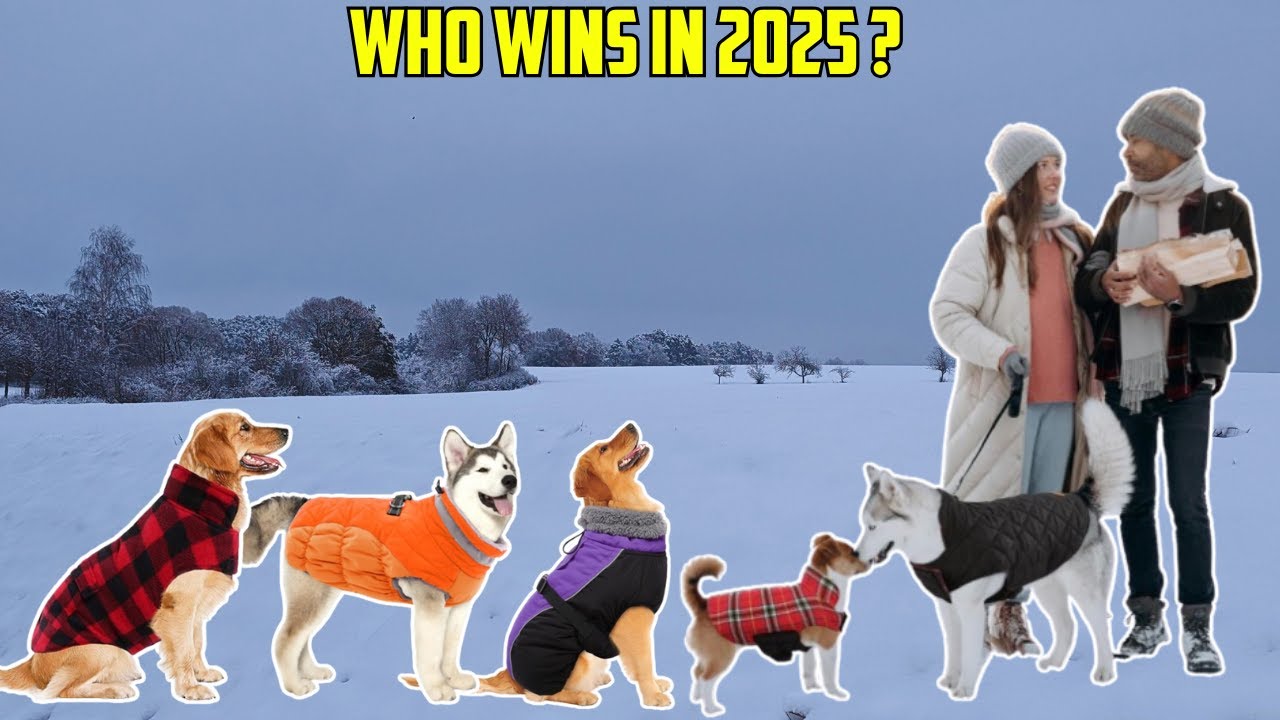 ✅Top 10 Winter Dog Coats | Winter Dog Coats That Will Keep Your Pet Warm