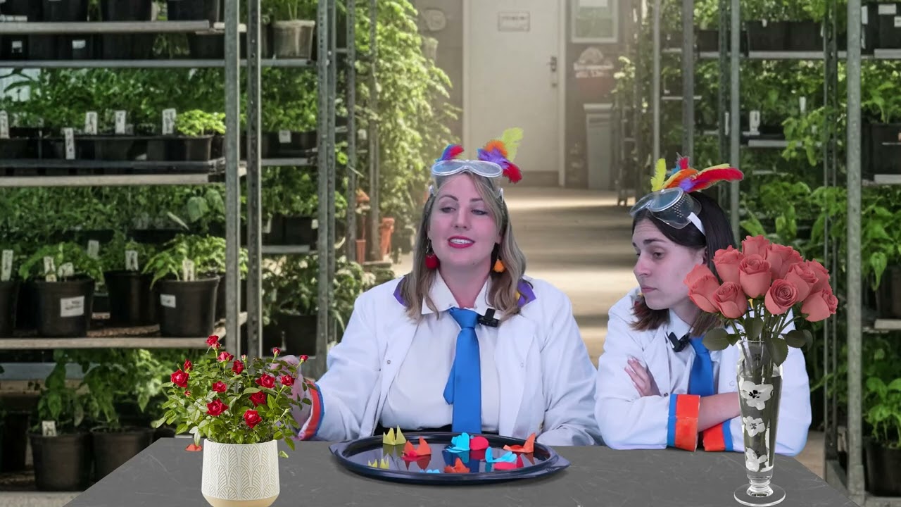 Oortref in Sy trap vir Kleuters - Episode 7: Sy Beloftes blom