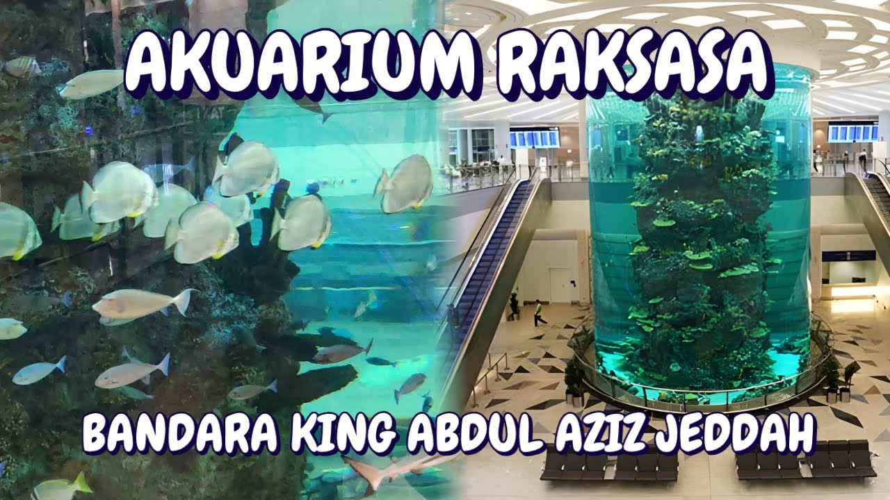 🚨 WOW! Ada Akuarium RAKSASA di Bandara Jeddah?! 🐠✨🛫🐟 | King Abdul Aziz Airport